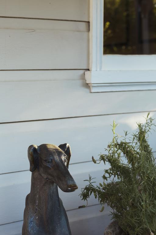 Illalangi Boutique Cottage Blackheath Luaran gambar